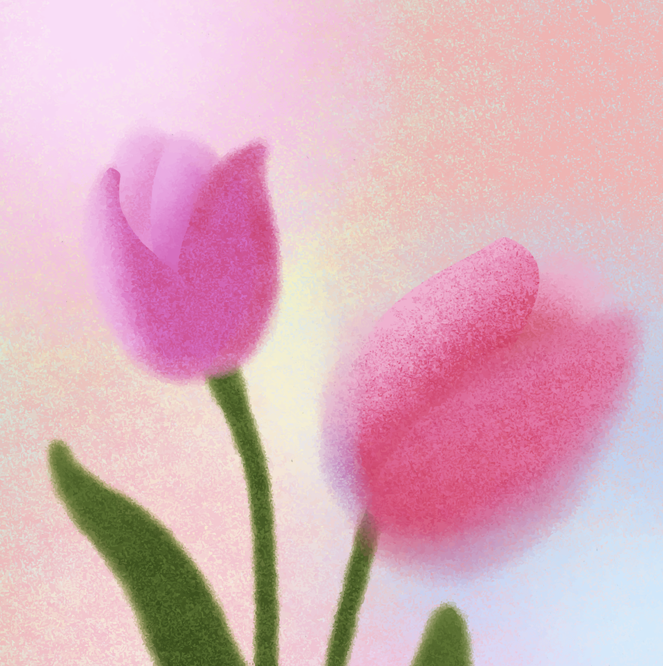 Bolink - Link in Bio